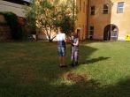 IMG_20210625_180309.jpg