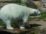 DSCN2618.JPG
